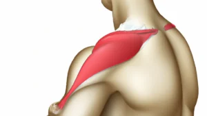 Stop Inflammation During Shoulder Recovery