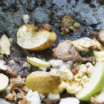 Climate Change and Your Metabolism Explained