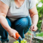 Gardening: Cultivating Health for Your Back