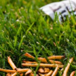 Refuel Your Game Day with Yummy Options