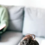 Awareness of Biofeedback Benefits for Stress