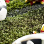 Optimal Soccer Cleats for Turf Surfaces