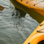 Stay Refreshed: Tips for Long Trips
