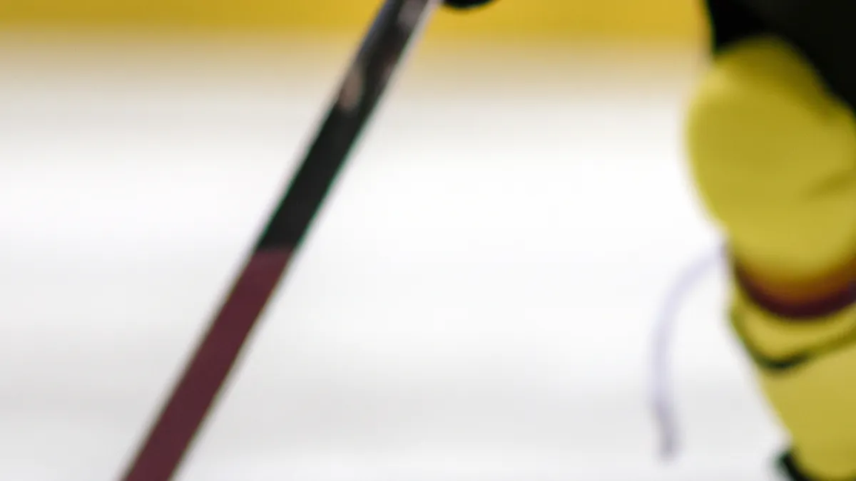 Stick Length Explained: Short vs Long (Hockey Pros)