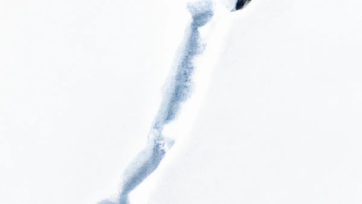 Navigate Winter Trails: Snowshoeing (Beginners)