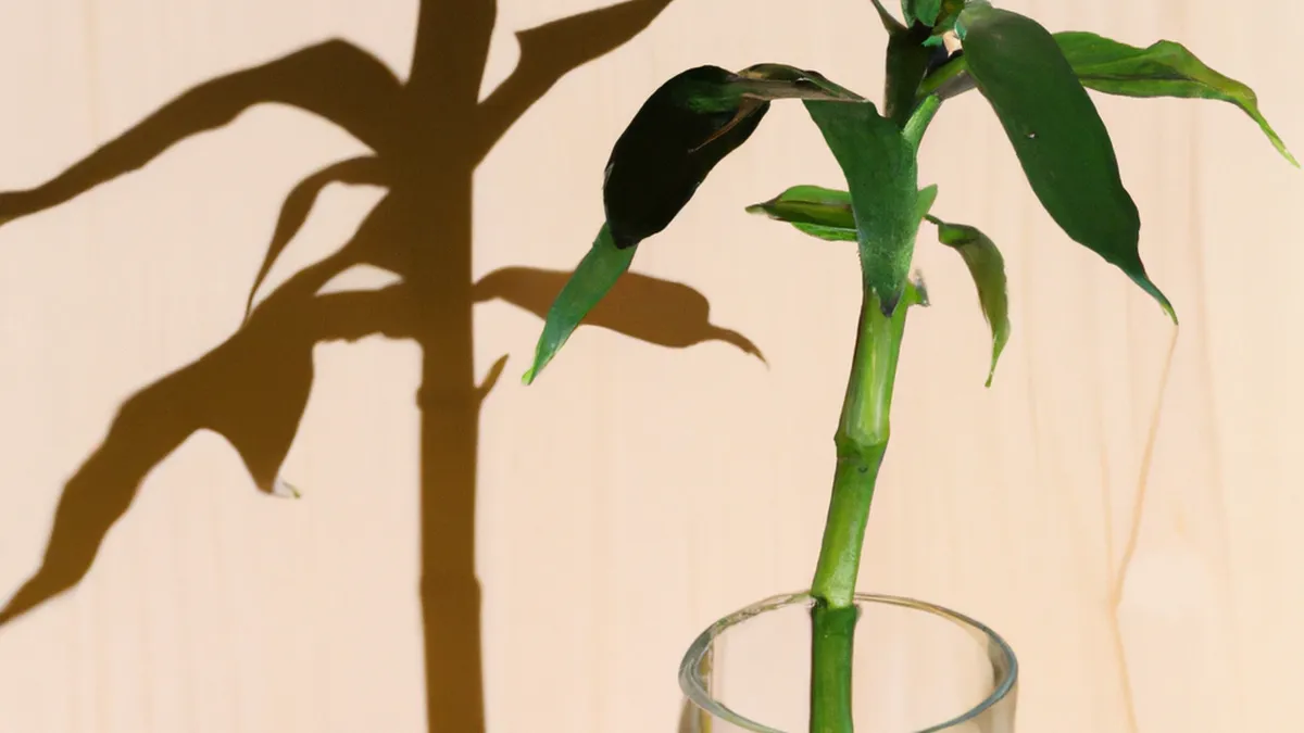 Plant-Based Energy for Better Flexibility