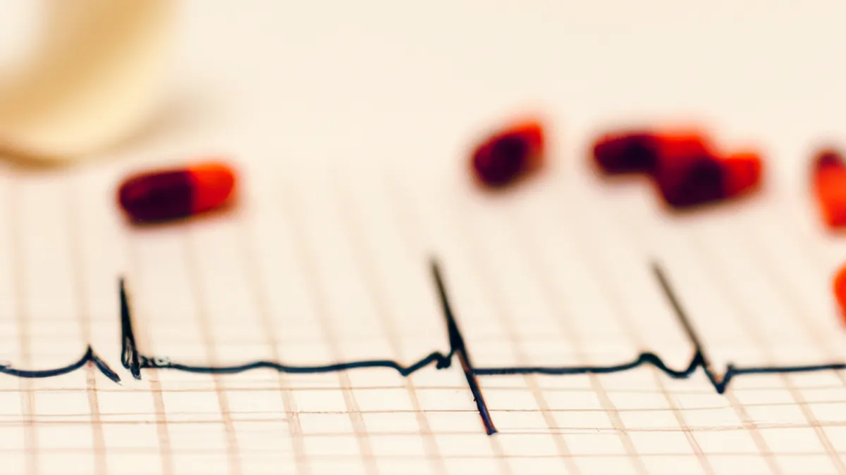 Zen Moments: Finding Calm in Chaos