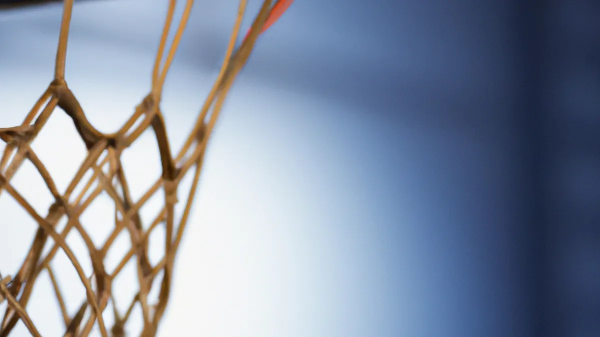 Champions for Accessible Sports Opportunities (Wheelchair