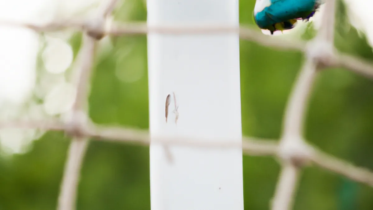 Climb Higher: Mobility for Rock Climbers