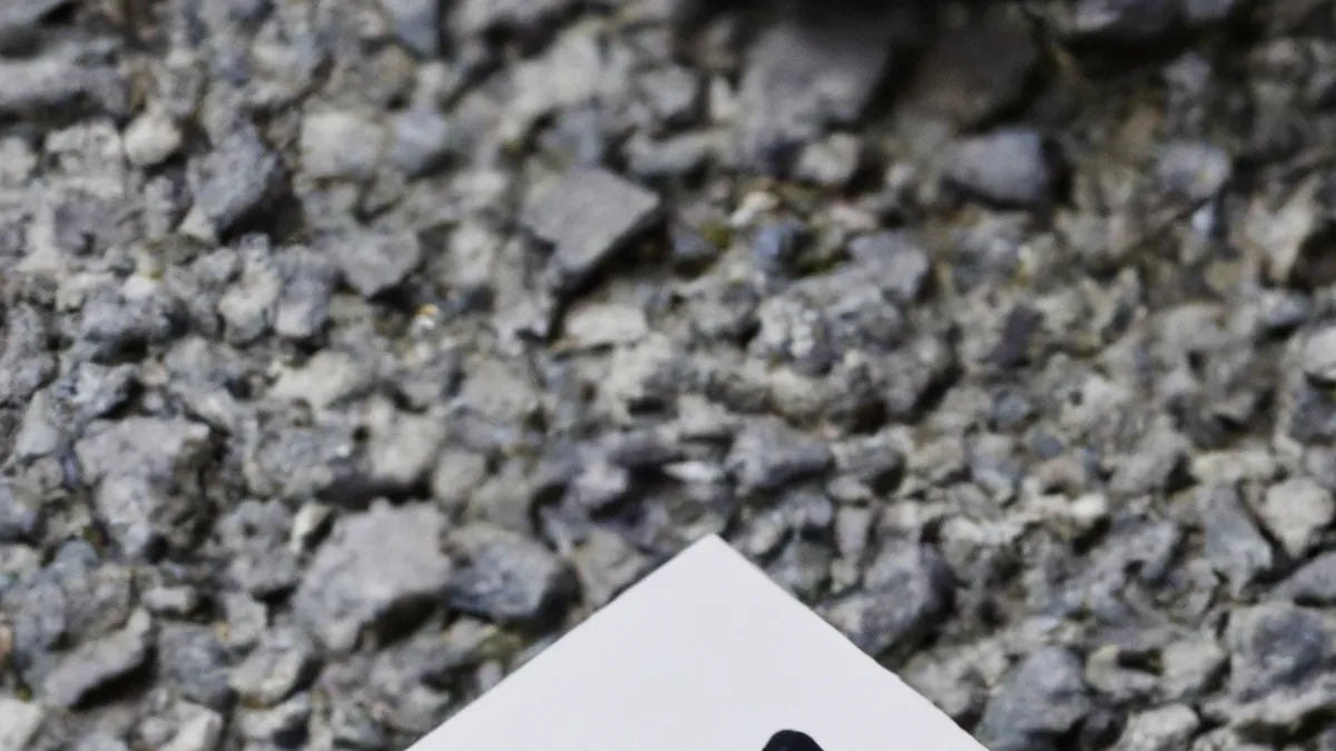 Pedal Through Life: Gravel Racing Essentials