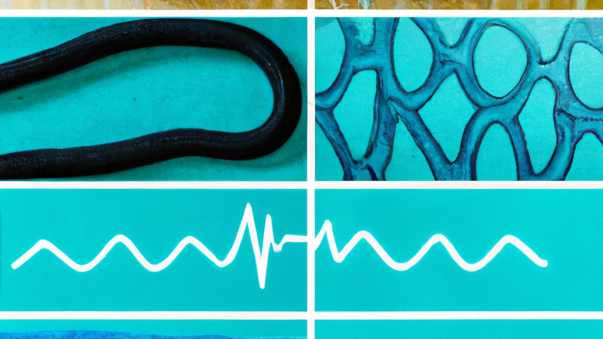 Heart Rate Zones: Fueling Your Fitness Journey