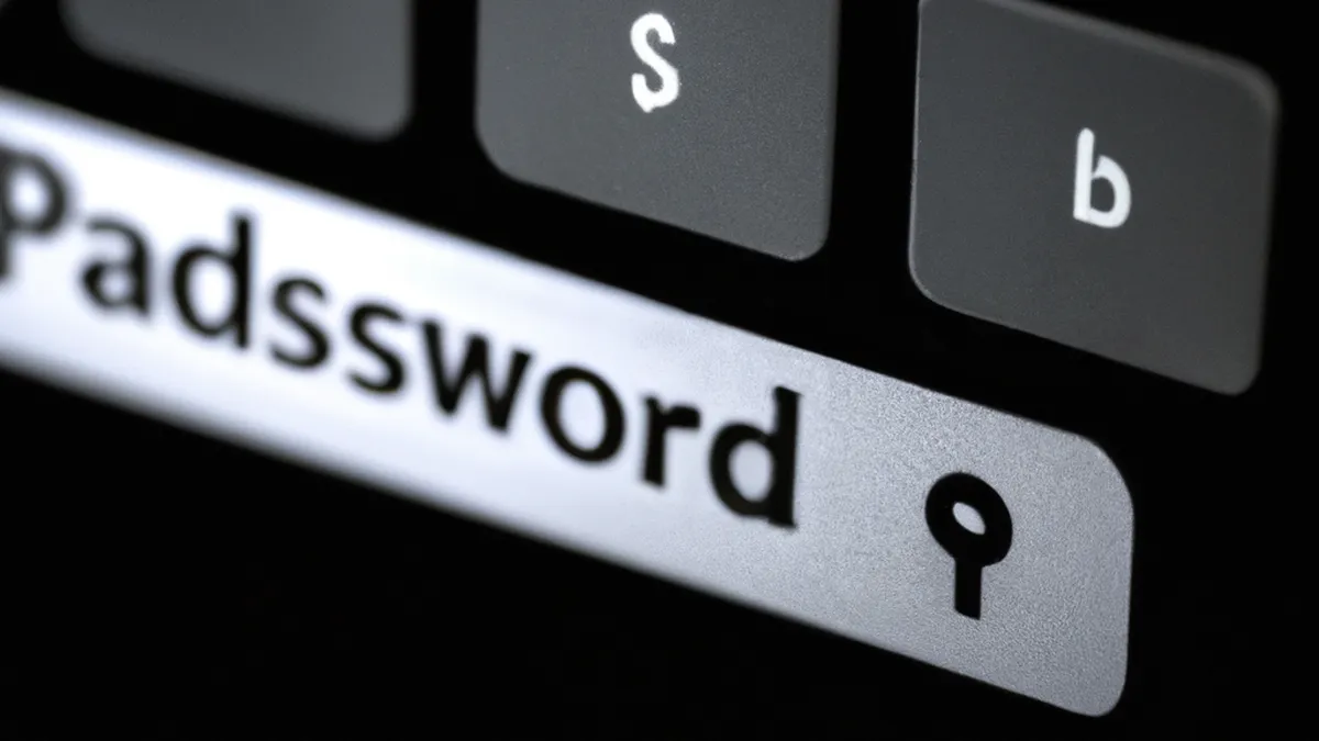 Password Protection: A Must-Have