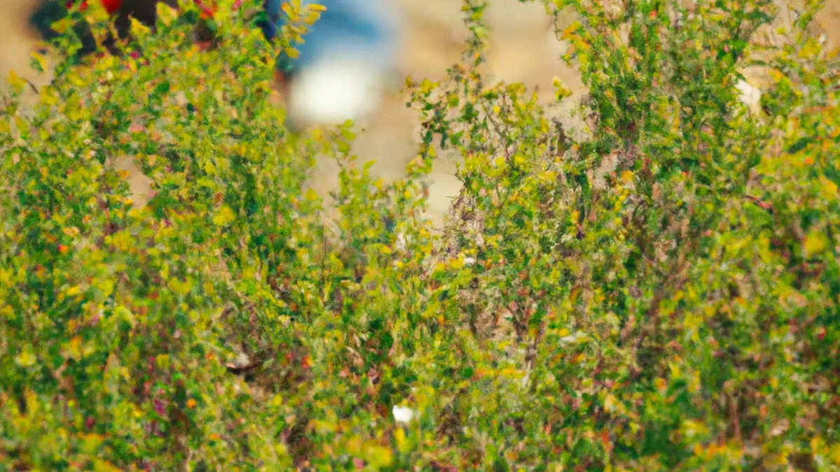 Plant-Based Apparel for Athletes