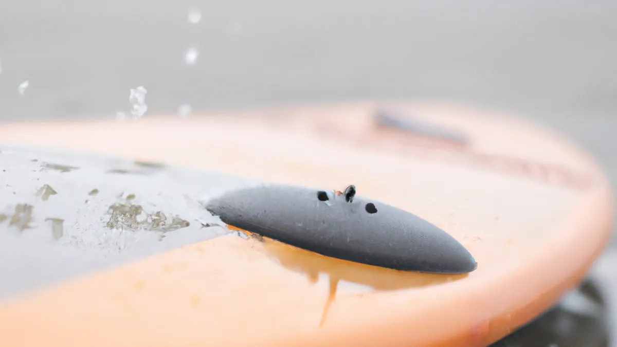 Nourishment After Surfing: What You Need
