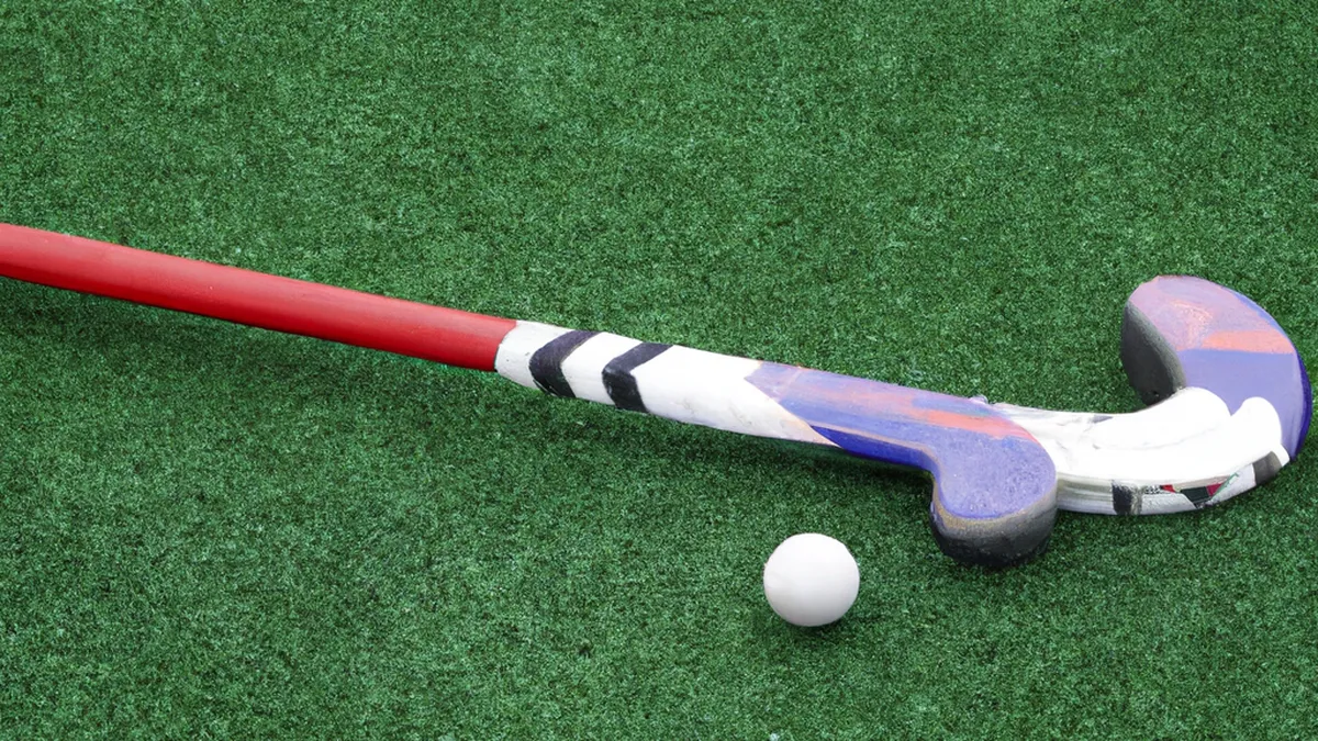 Attack Like a Pro: Defense Strategies