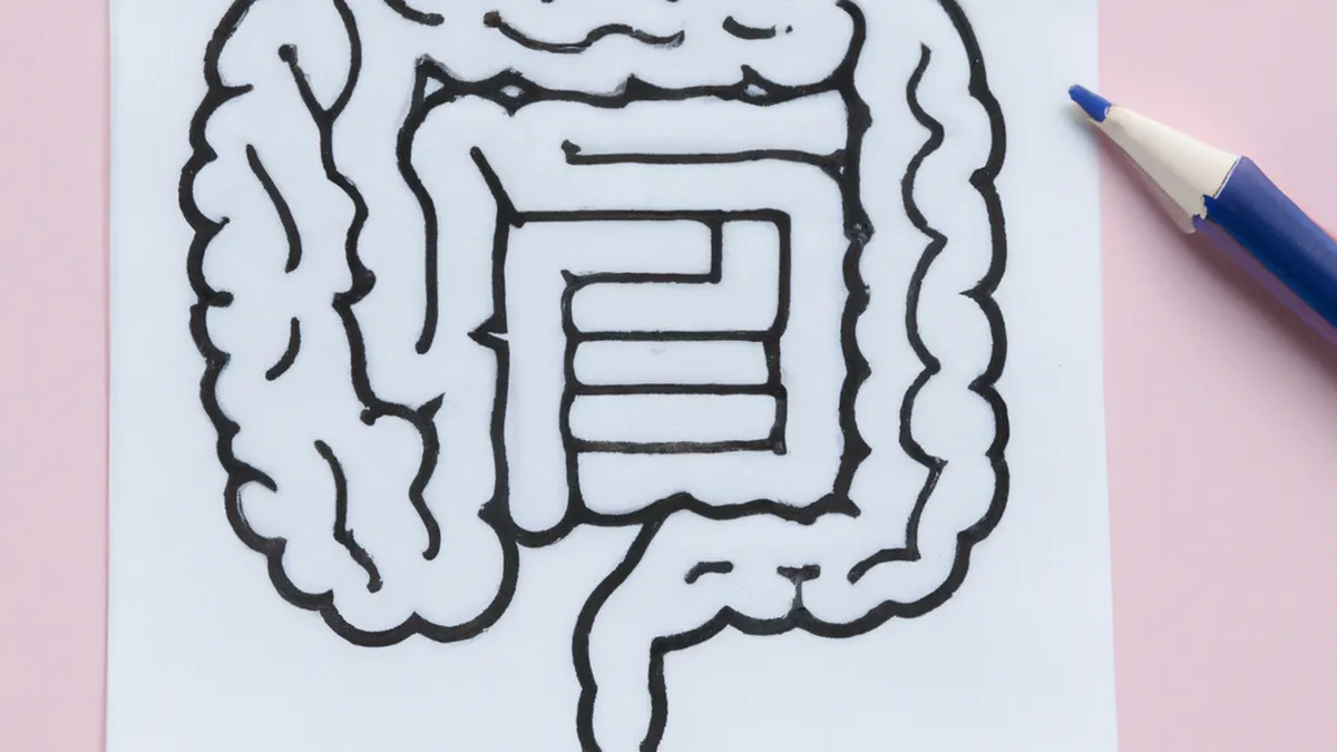 Structure Your Day for Digestive Success