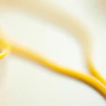 Carbs vs. Protein: What to Focus On