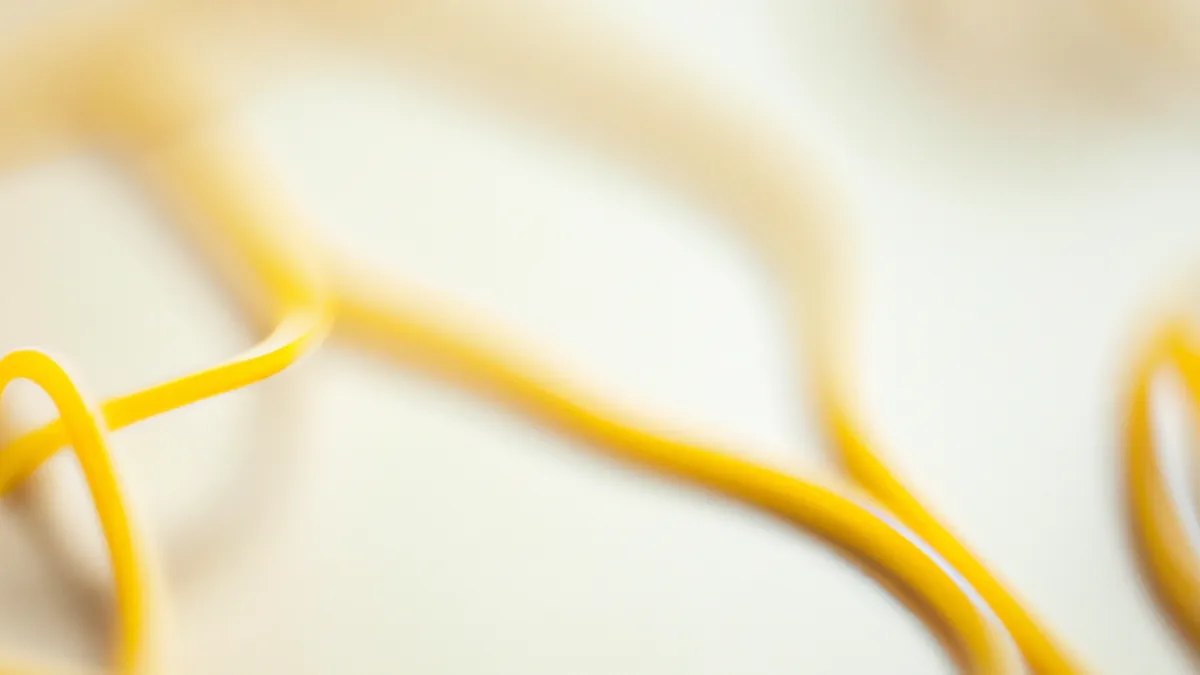 Carbs vs. Protein: What to Focus On