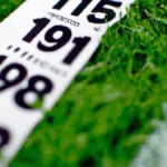 Stats That Scored: Making Analytics Work