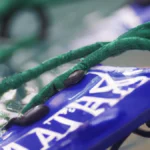 Harness Analytics for Game Day Advantage