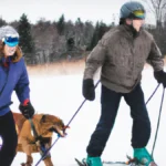 Form Lifelong Friendships Through Skijoring