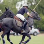 Stable Riding Starts with Your Posture