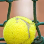 Checkpoints for Athletic Advancement (Platform Tennis)