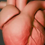 Heart Rate Variability: A Training Tool