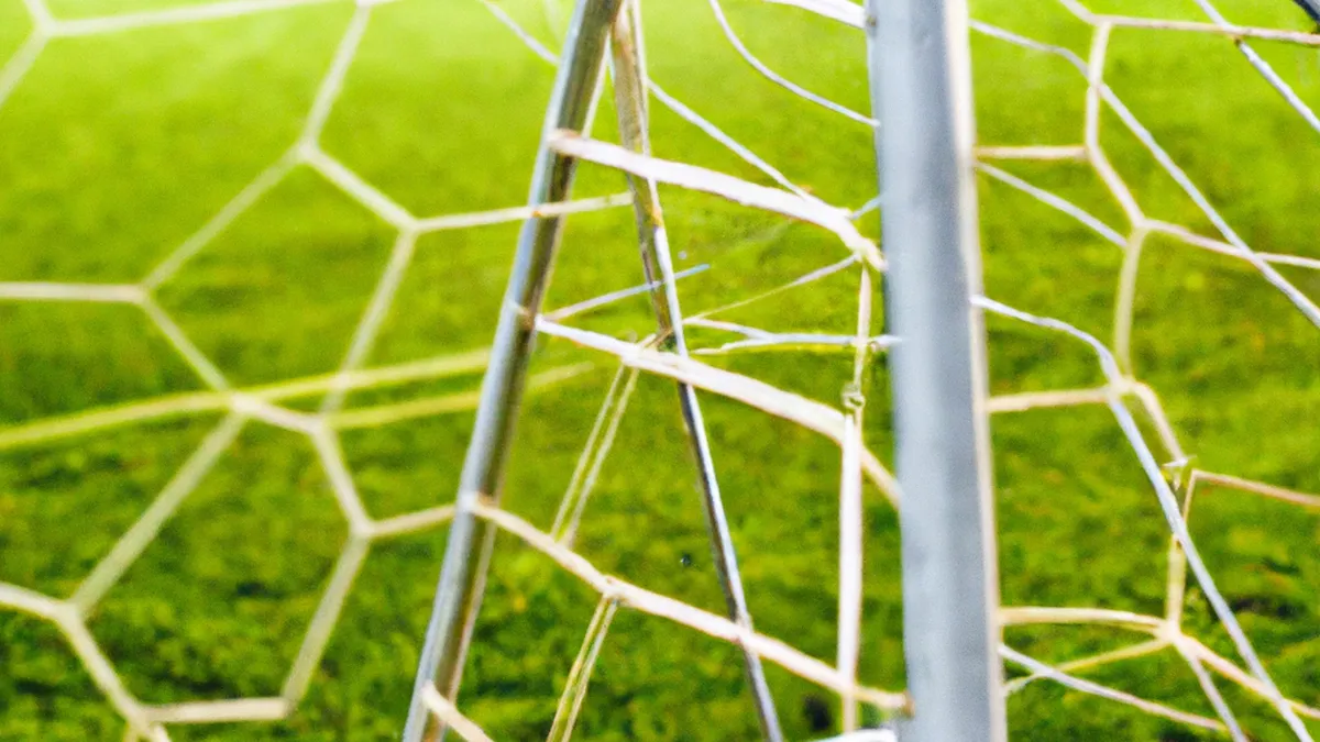 Six Must-Try Agility Ladder Workouts