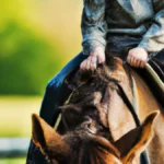 Equip Your Family for Endurance Success