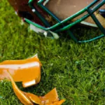 Natural Remedies for Injury Recovery