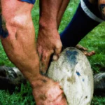 Band Workouts to Fortify Ankles (Rugby)