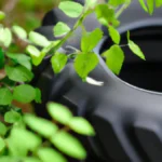 Go Green: Biodegradable Sports Equipment