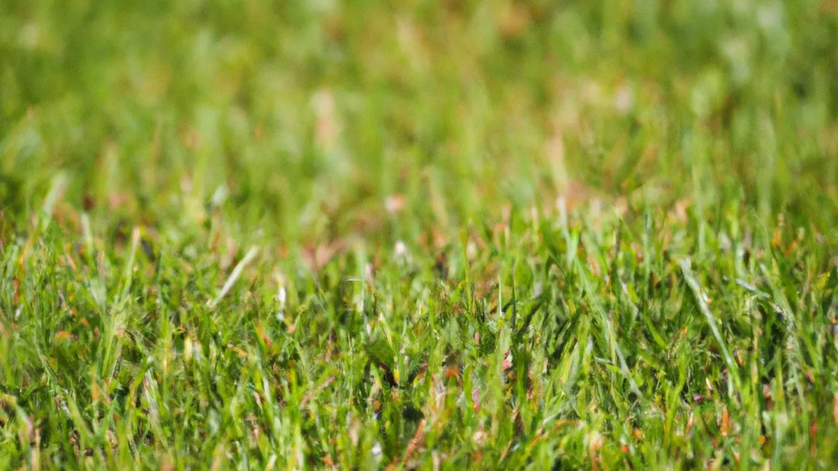 Mats or Grass? Your Safety Choice